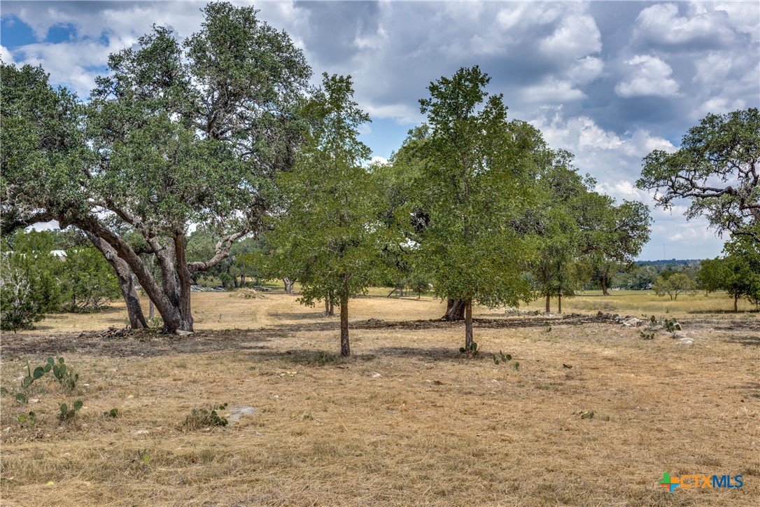 109 Rio Grande Drive Blanco, TX 78606 - Photo 14 of 20