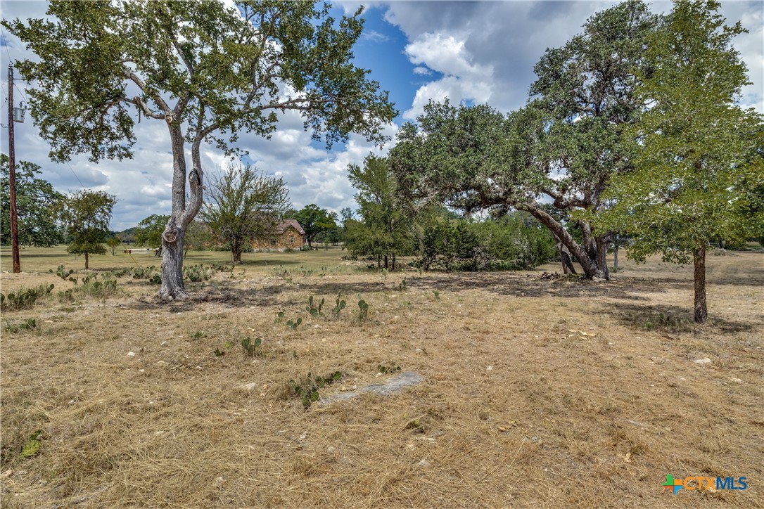 109 Rio Grande Drive Blanco, TX 78606 - Photo 15 of 20