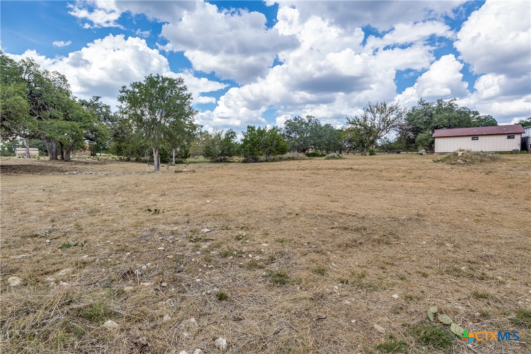 109 Rio Grande Drive Blanco, TX 78606 - Photo 18 of 20