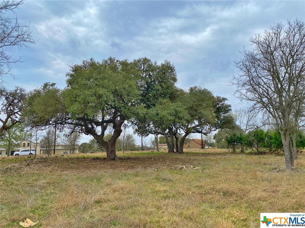 109 Rio Grande Drive Blanco, TX 78606 - Photo 6 of 20