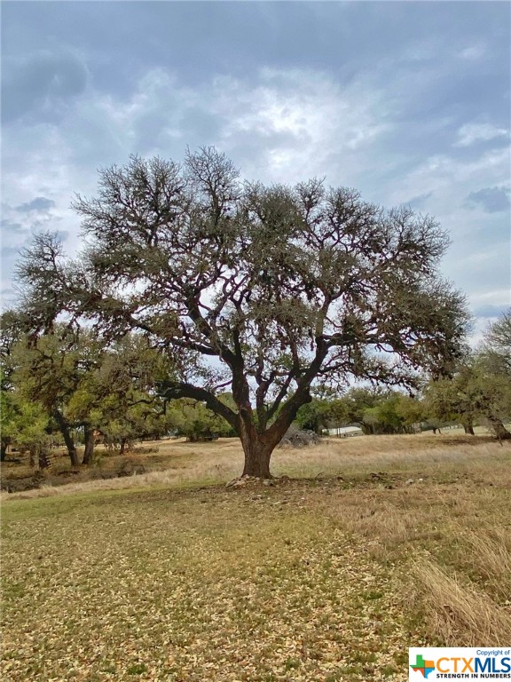 109 Rio Grande Drive Blanco, TX 78606 - Photo 8 of 20