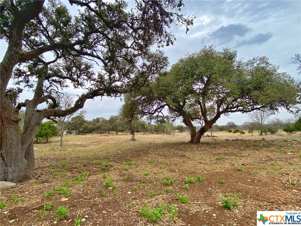 109 Rio Grande Drive Blanco, TX 78606 - Photo 10 of 20