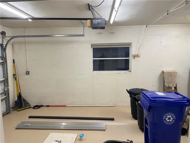 a view of a bunch of plants and flowers