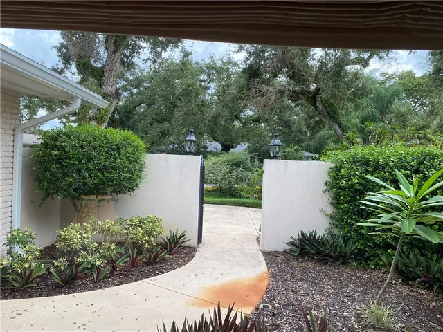 a plant with lots of green space