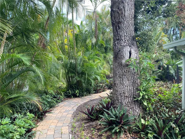 a view of a backyard of the house