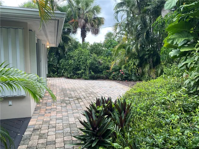 a view of a garden with plants