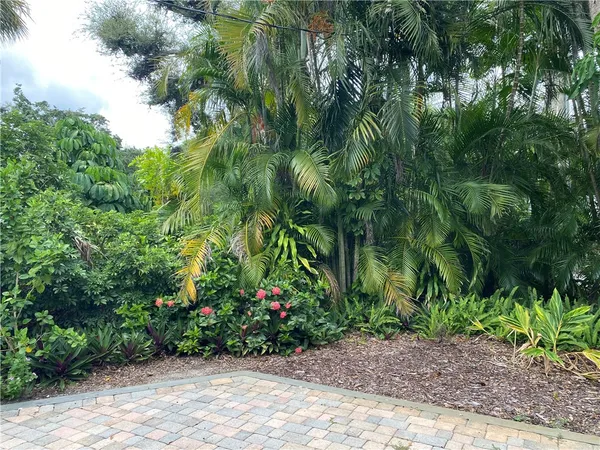 a view of street with a yard and palm trees