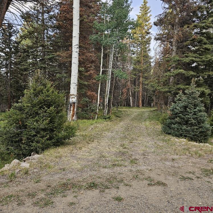 620 Balsam Road Cimarron, CO 81220 - Photo 3 of 14 Gallery Image 3
