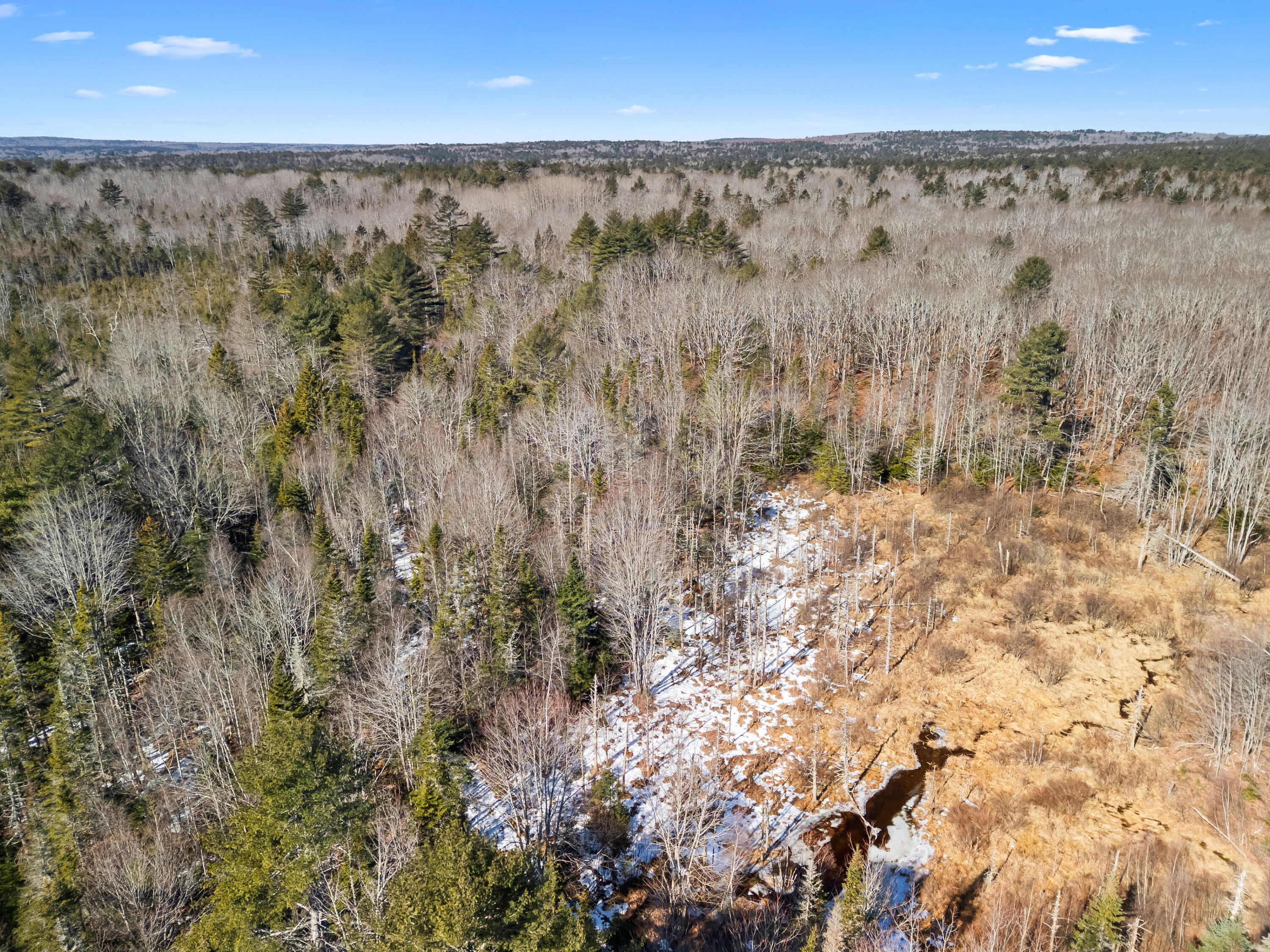 180 Burket Mill Road Waldoboro, ME 04572 - Photo 12 of 22 DJI_20260318103228_0427_D