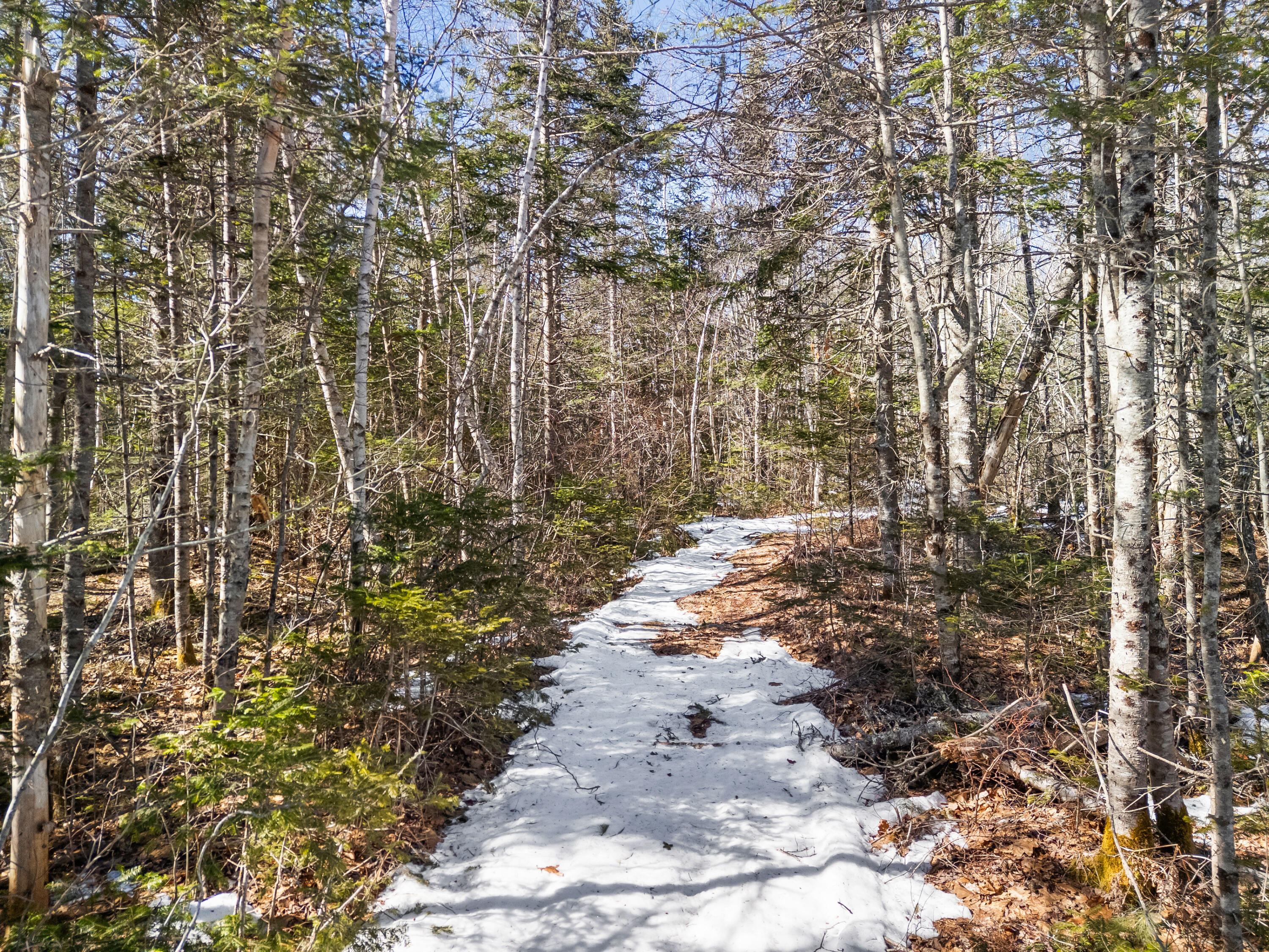 180 Burket Mill Road Waldoboro, ME 04572 - Photo 17 of 22 DJI_20260318104409_0502_D