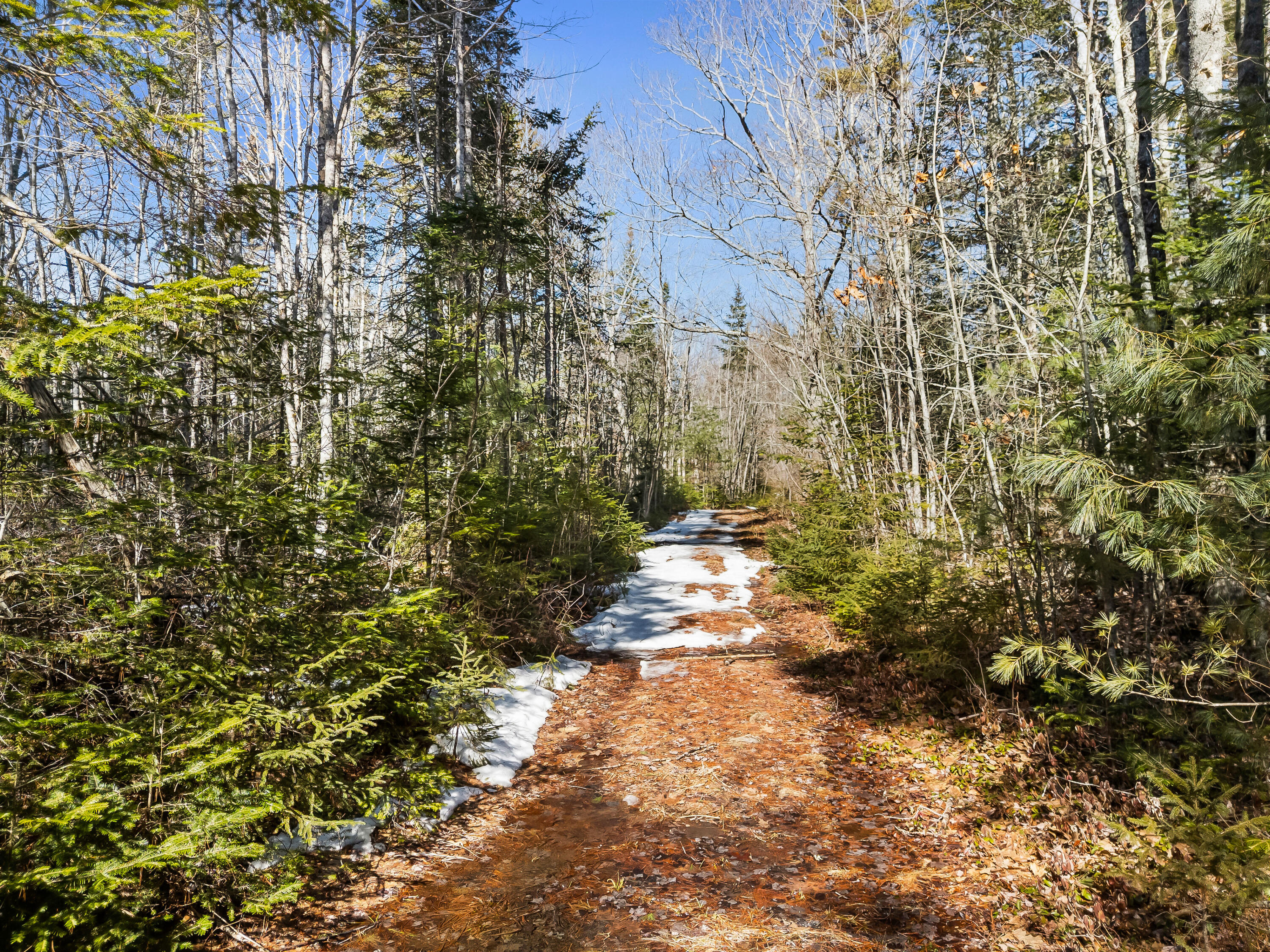 180 Burket Mill Road Waldoboro, ME 04572 - Photo 18 of 22 DJI_20260318104650_0532_D