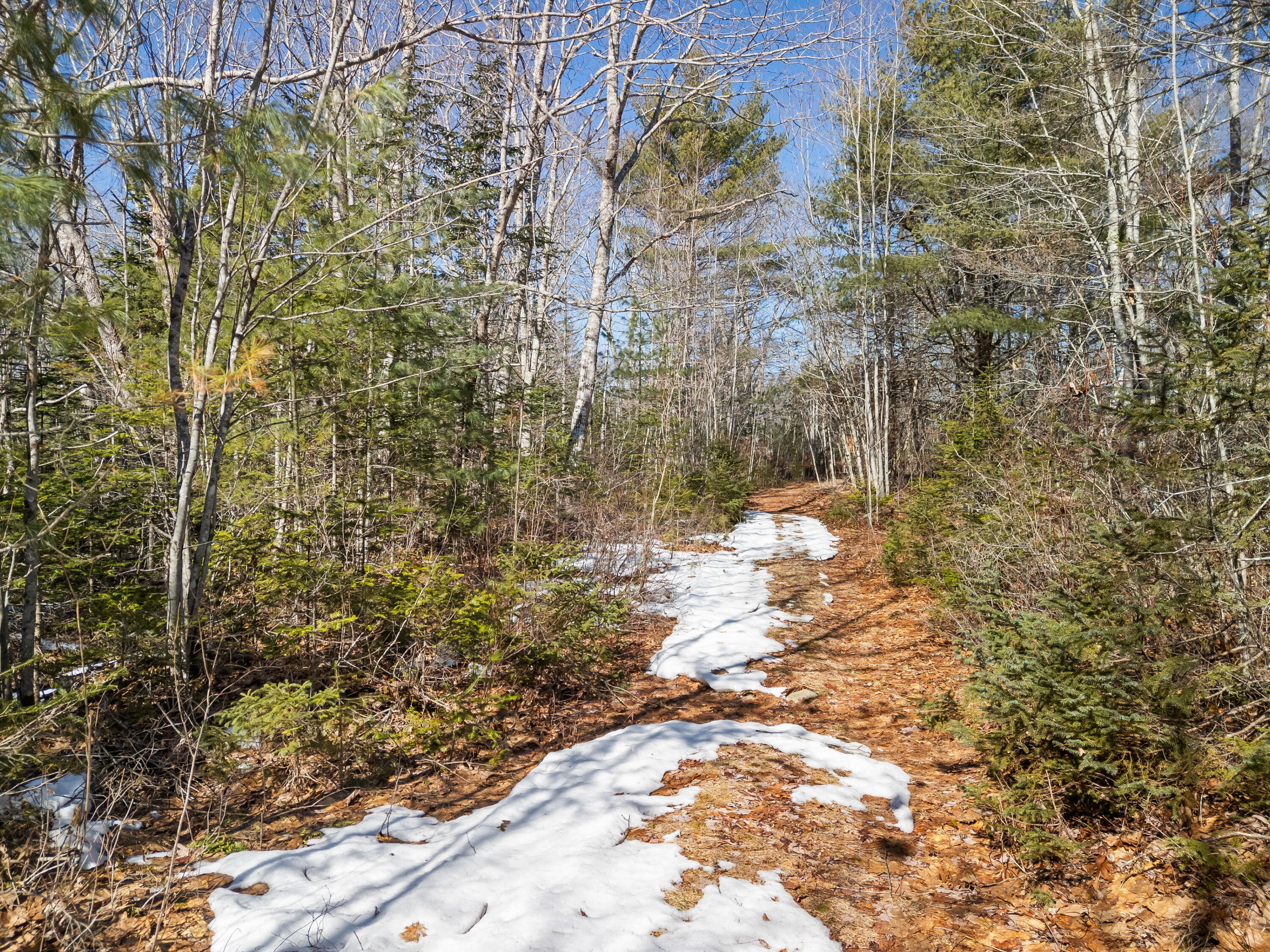 180 Burket Mill Road Waldoboro, ME 04572 - Photo 20 of 22 DJI_20260318104119_0487_D