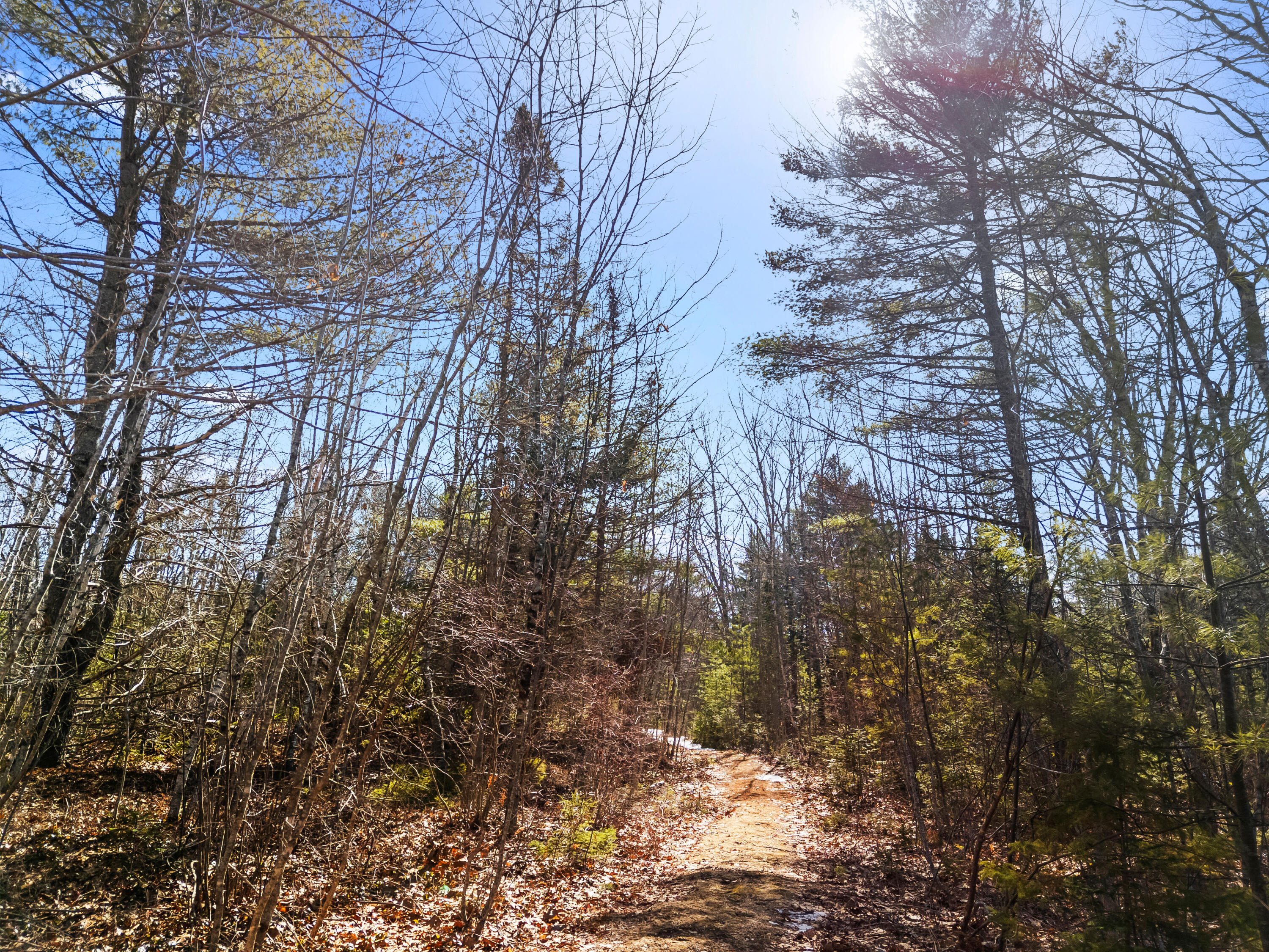 180 Burket Mill Road Waldoboro, ME 04572 - Photo 21 of 22 DJI_20260318104029_0486_D