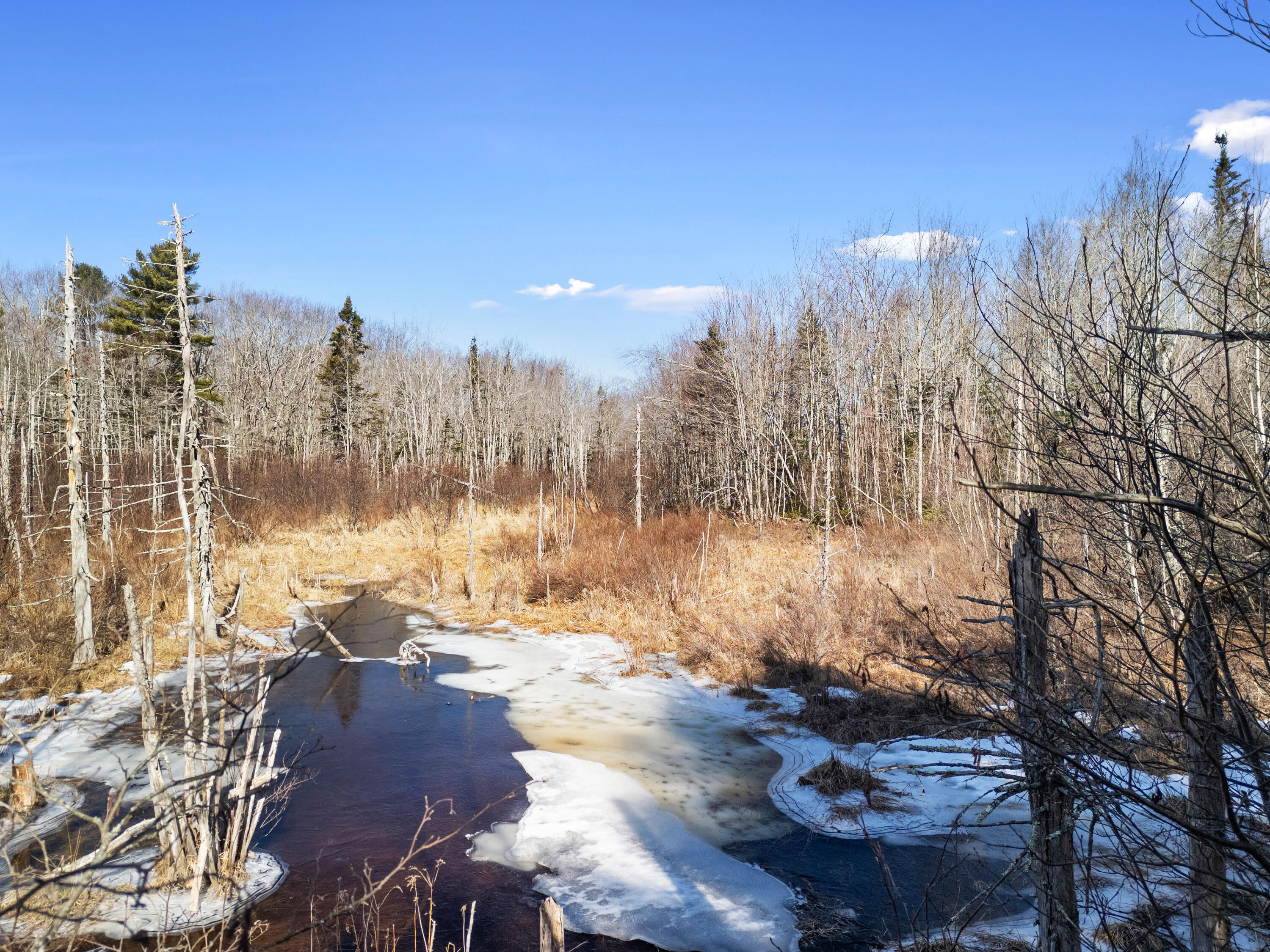 180 Burket Mill Road Waldoboro, ME 04572 - Photo 22 of 22 DJI_20260318104505_0512_D