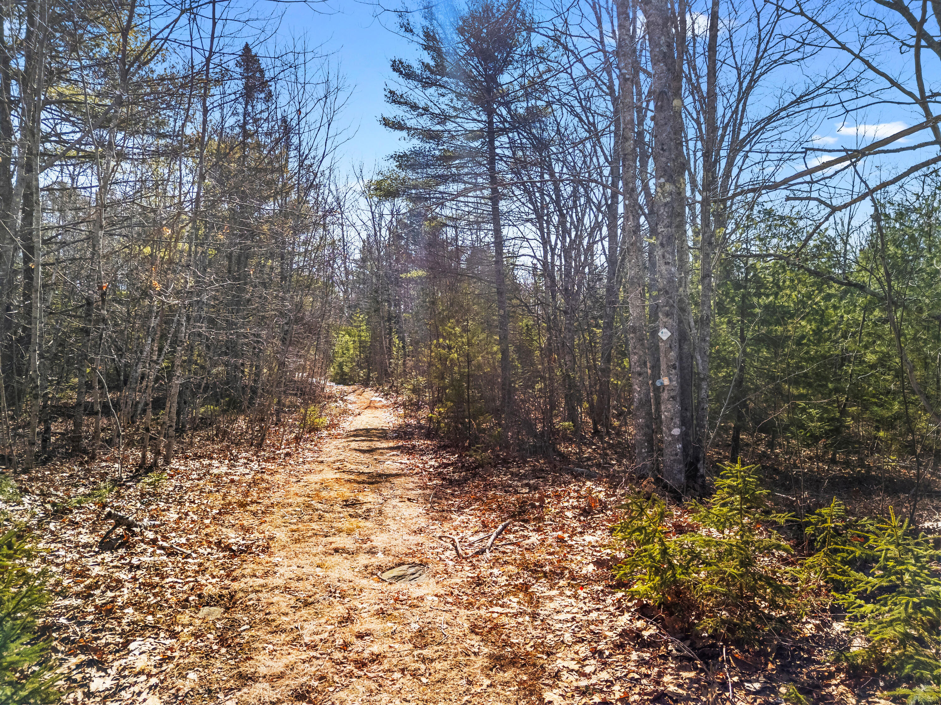 180 Burket Mill Road Waldoboro, ME 04572 - Photo 5 of 22 DJI_20260318103649_0472_D