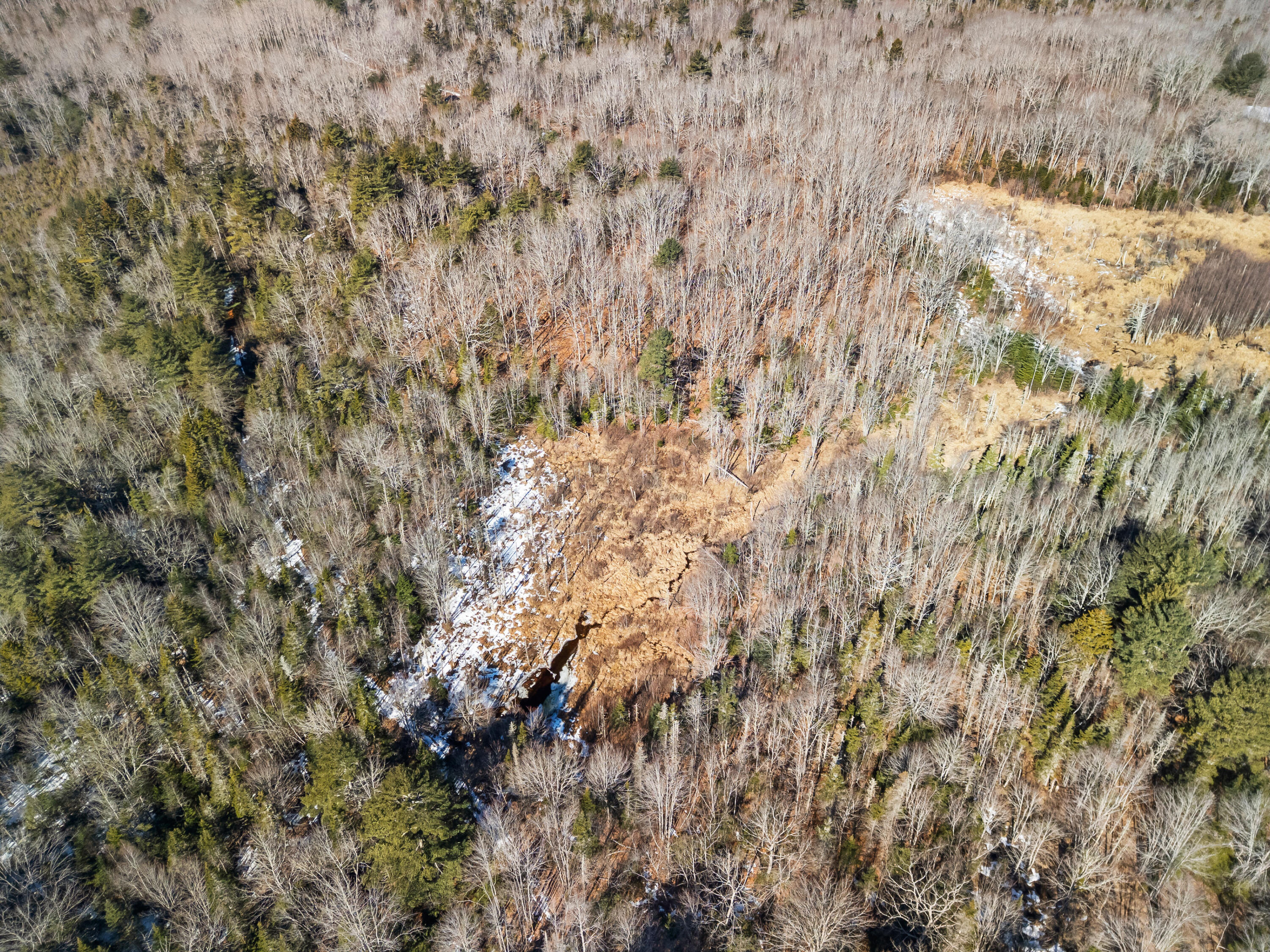 180 Burket Mill Road Waldoboro, ME 04572 - Photo 9 of 22 DJI_20260318102619_0392_D