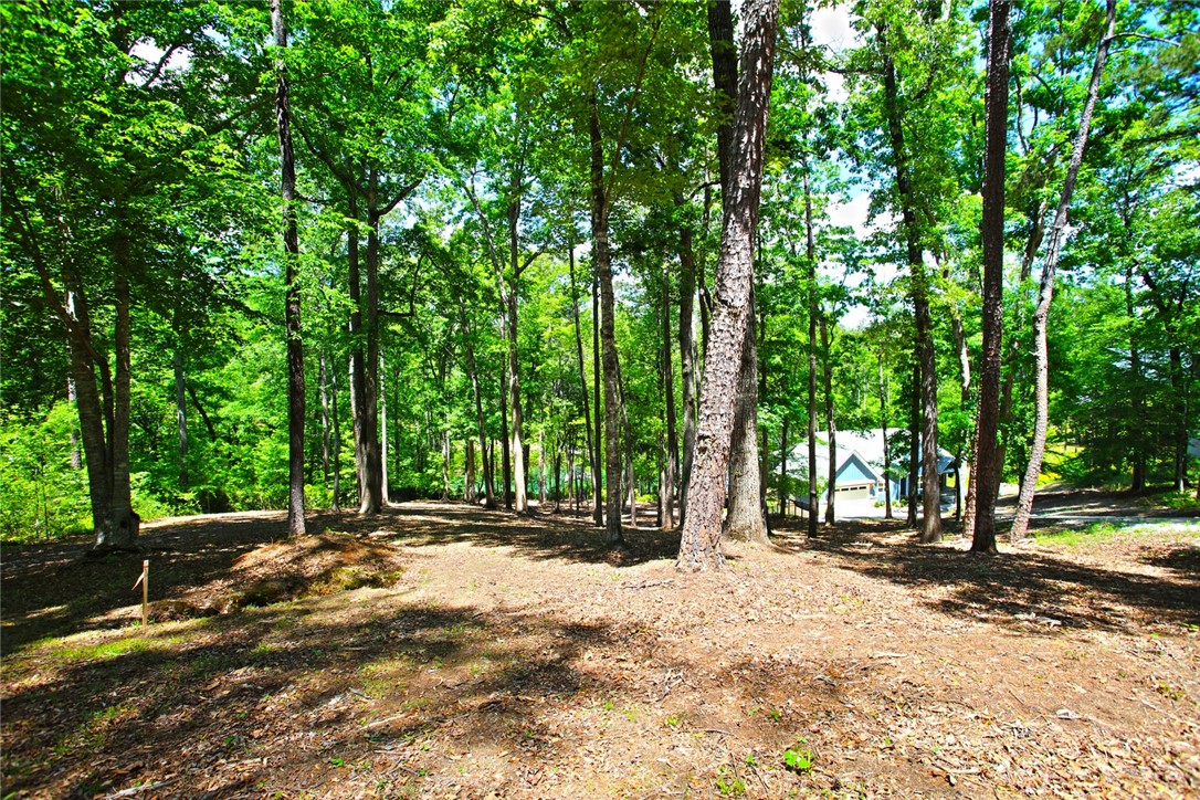 Lot 114 Harbor Point Seneca, SC 29672 - Photo 43 of 46 A spacious lot featuring verdant trees, offering a serene and private setting.