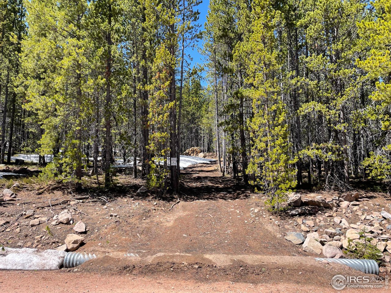 0 Forest Service 169 Road, Unit PARCEL #3 Red Feather Lakes, CO 80545 - Photo 12 of 16 a view of a bench in the garden