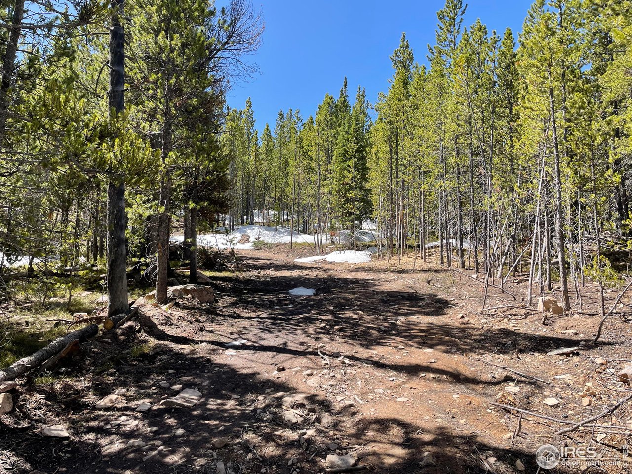 0 Forest Service 169 Road, Unit PARCEL #3 Red Feather Lakes, CO 80545 - Photo 13 of 16 a view of a yard with trees