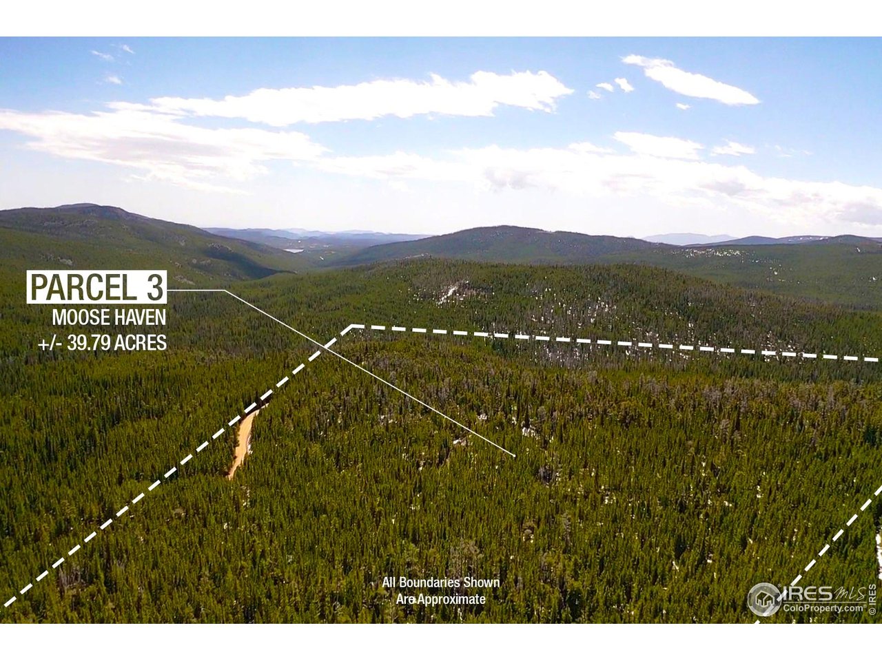 0 Forest Service 169 Road, Unit PARCEL #3 Red Feather Lakes, CO 80545 - Photo 6 of 16 a view of a city