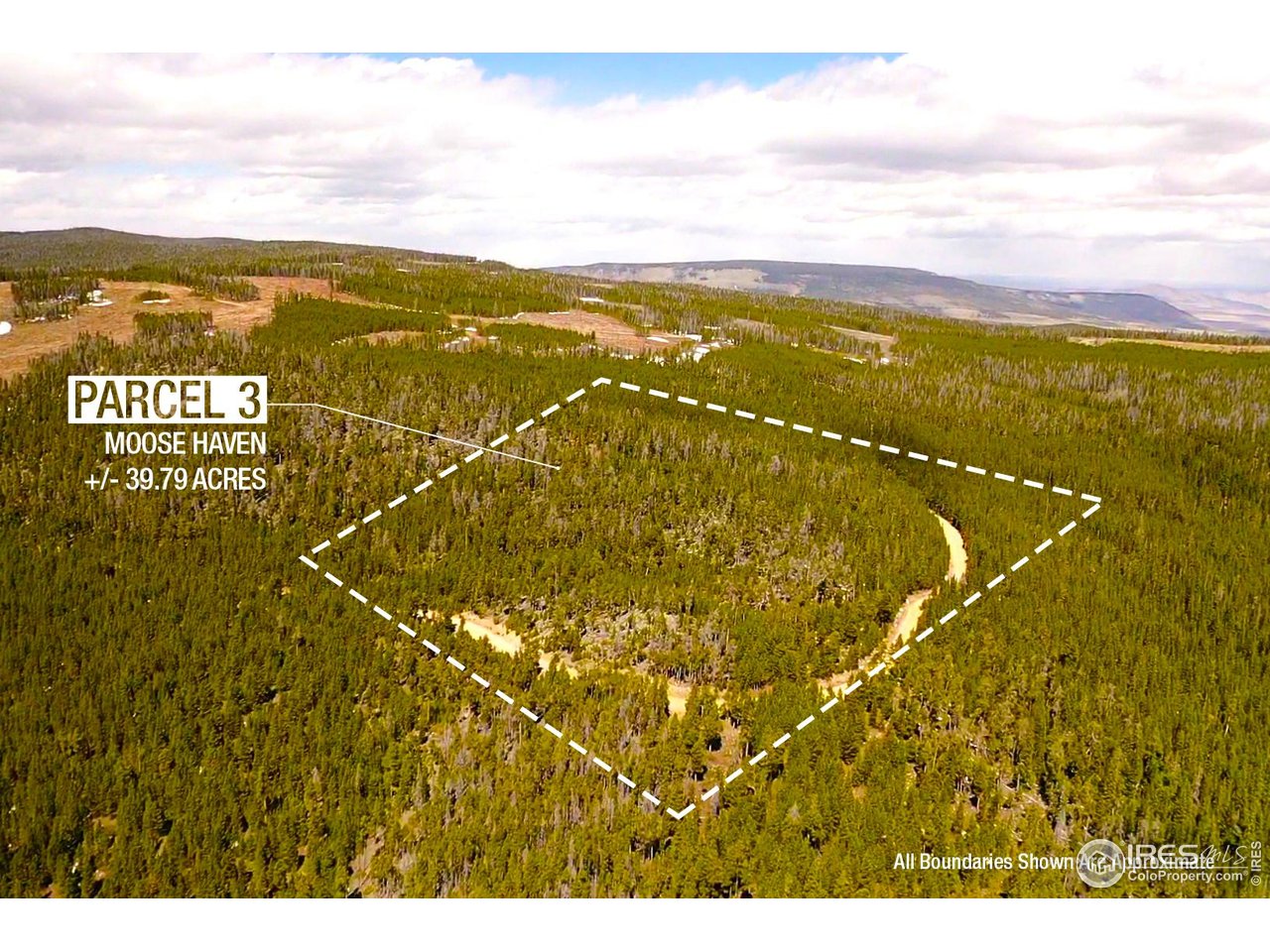 0 Forest Service 169 Road, Unit PARCEL #3 Red Feather Lakes, CO 80545 - Photo 10 of 16 a view of an ocean from a city