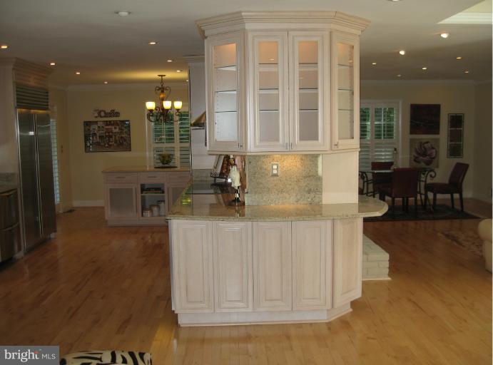 241 Springvale Road Great Falls, VA 22066 - Photo 11 of 30 Interior (General)