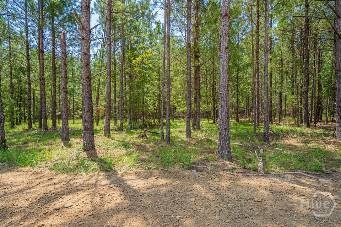 680 Railroad Street Daisy, GA 30417 - Photo 45 of 54