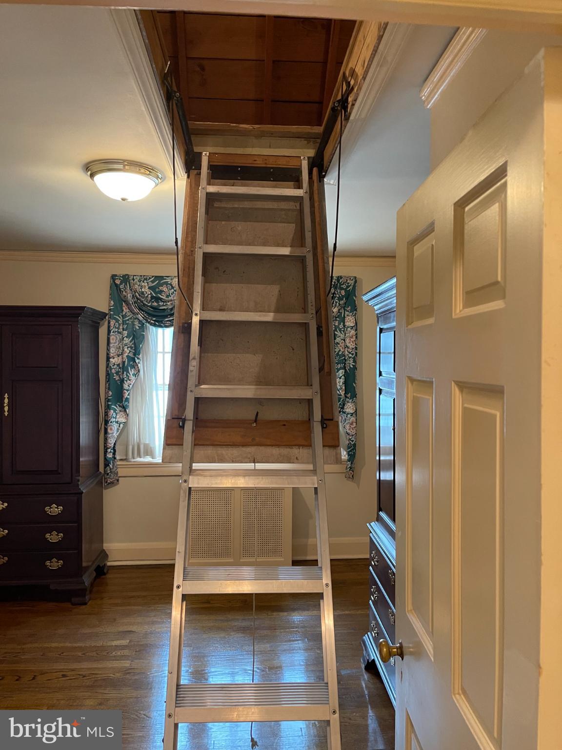 302 Tunbridge Road Baltimore, MD 21212 - Photo 60 of 77 Ladder to interior attic.