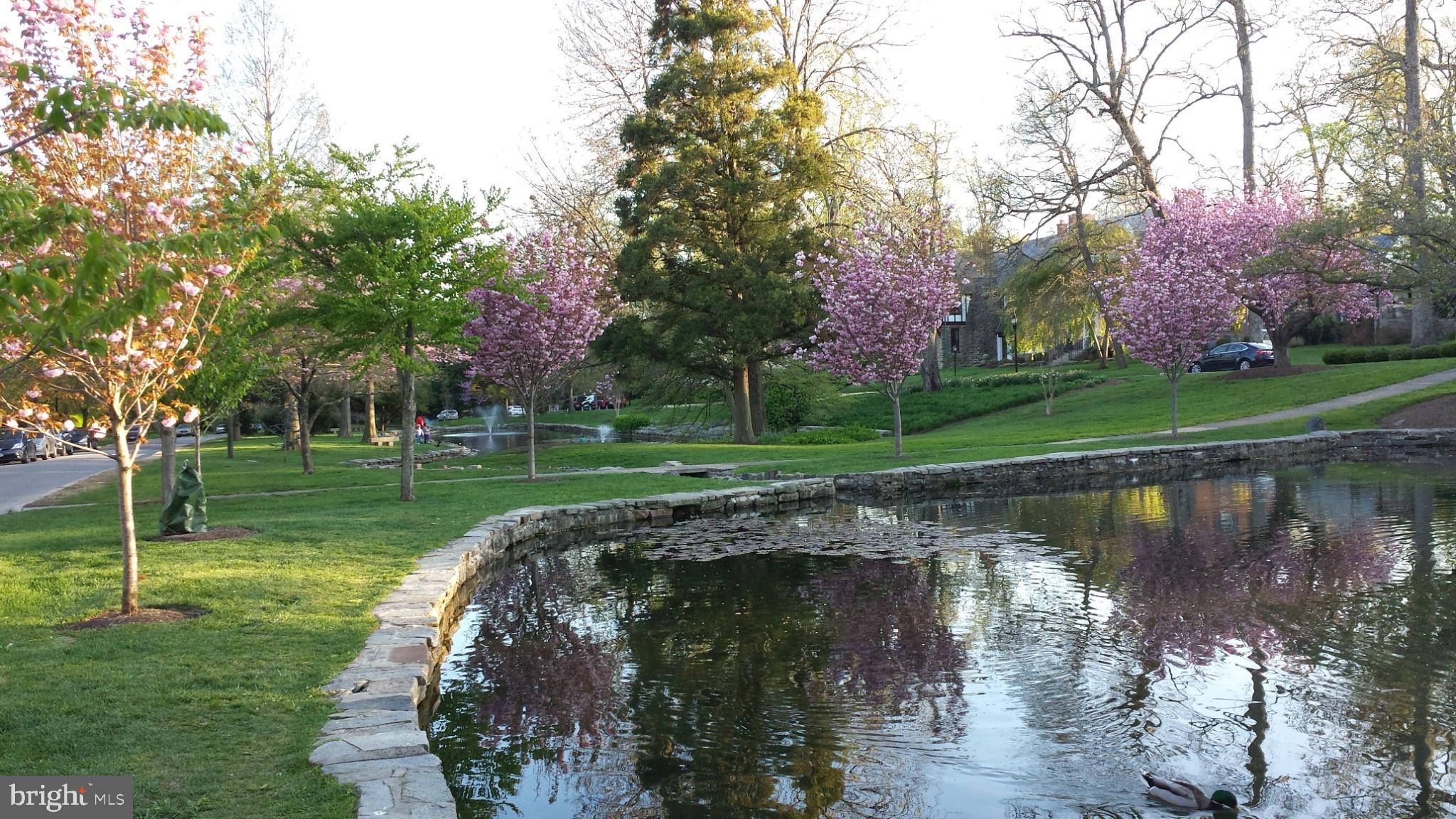 302 Tunbridge Road Baltimore, MD 21212 - Photo 65 of 77 a view of a lake view