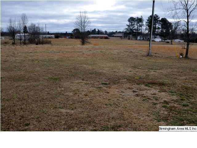 620 Pearson Street Cullman, AL 35058 - Photo 19 of 21