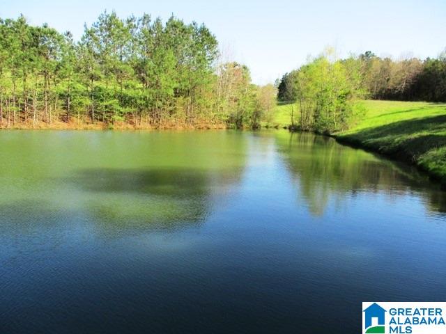 6971 Highway 24 Oneonta, AL 35121 - Photo 27 of 45