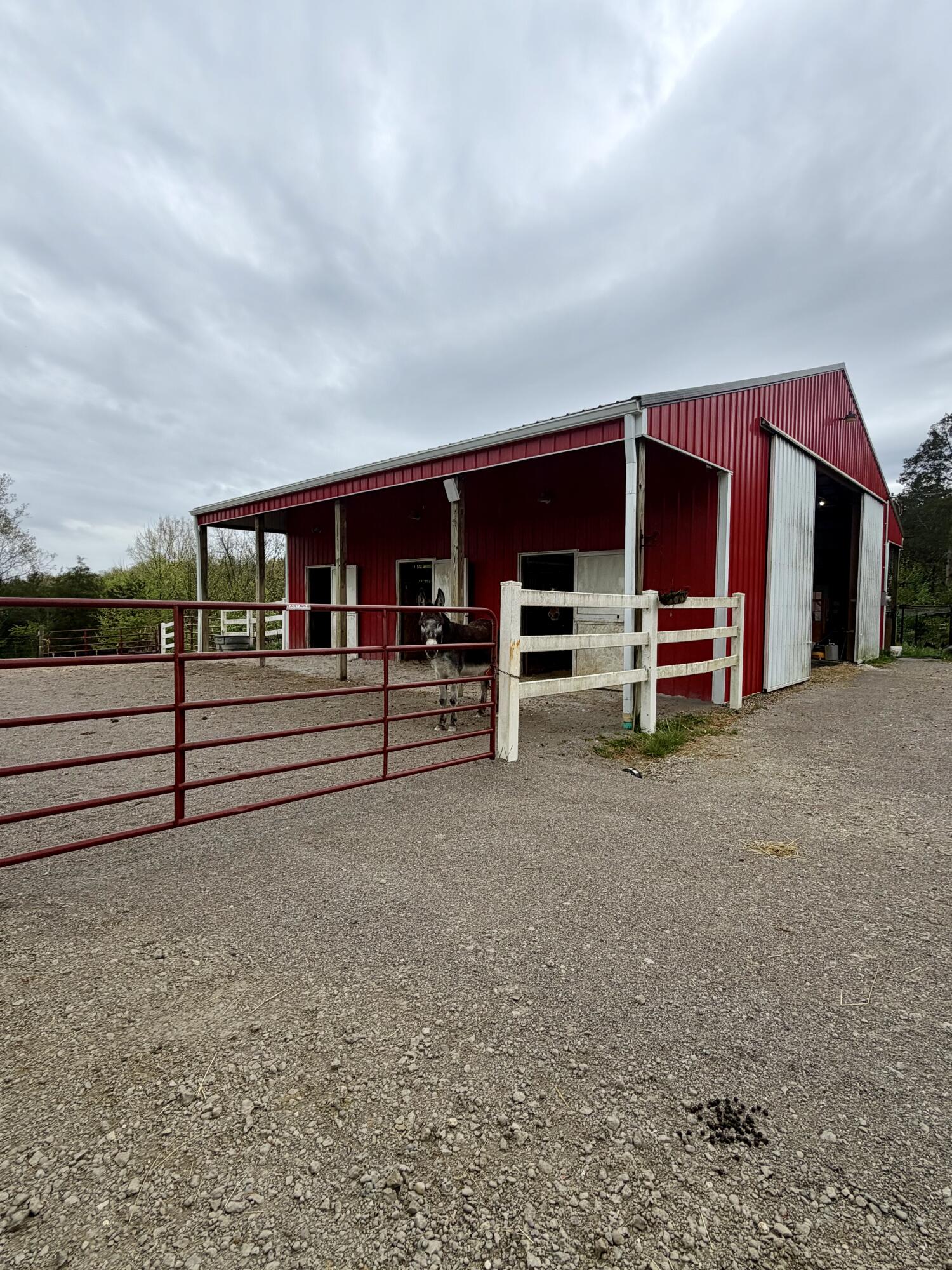 209 Clay Ridge Road Alexandria, KY 41001 - Photo 14 of 50