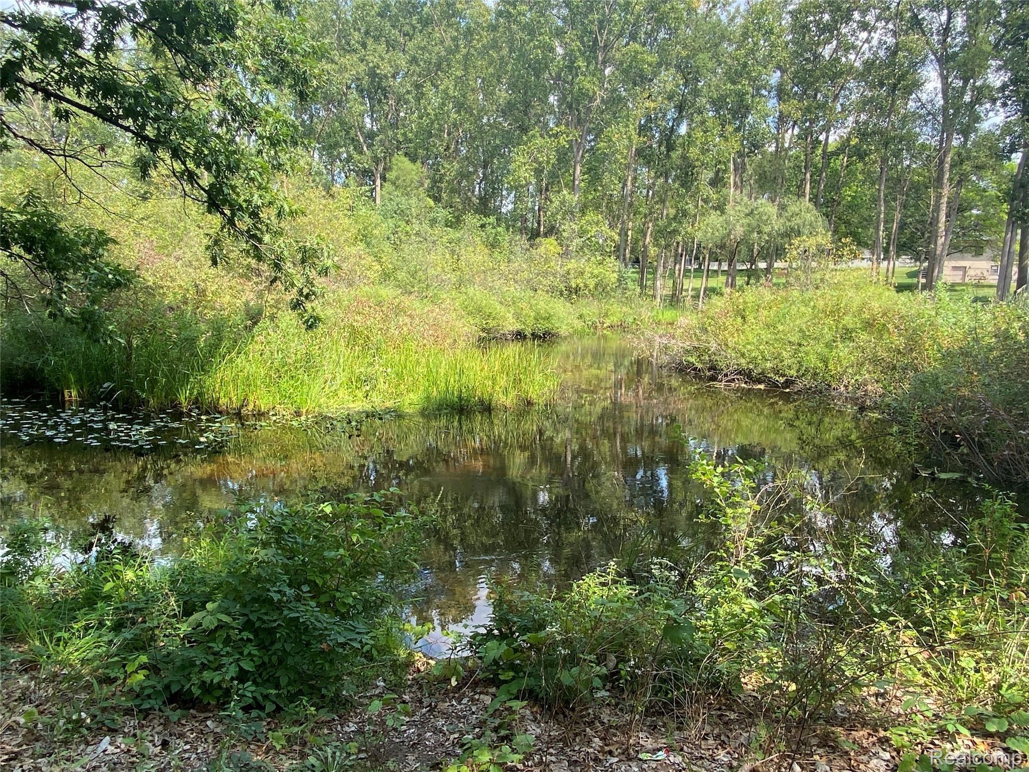 4520 Rattek Road Clarkston, MI 48346 - Photo 13 of 33 Canal.JPG
