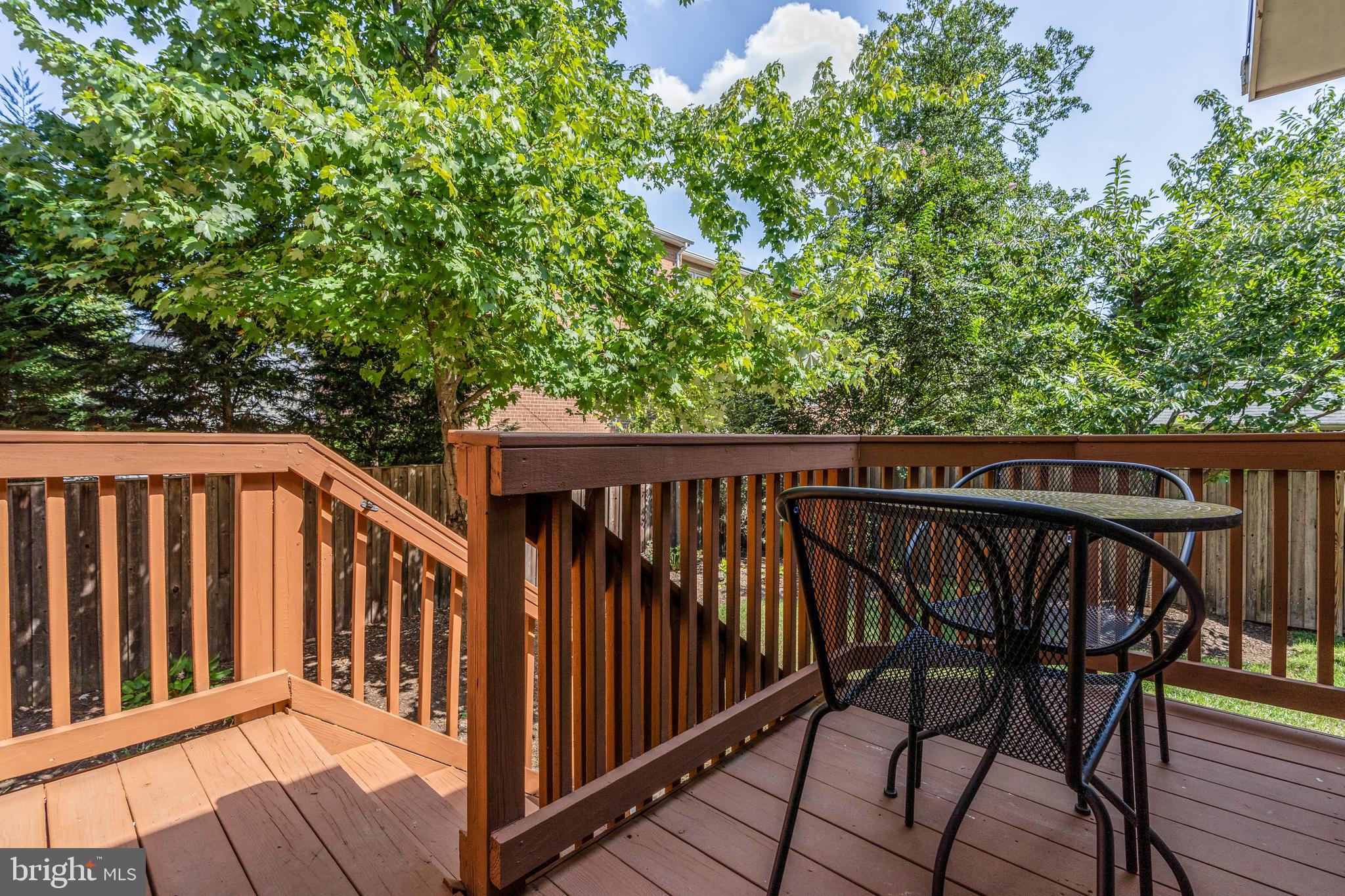 603 Russell Road Alexandria, VA 22301 - Photo 18 of 58 Perfect for grilling!