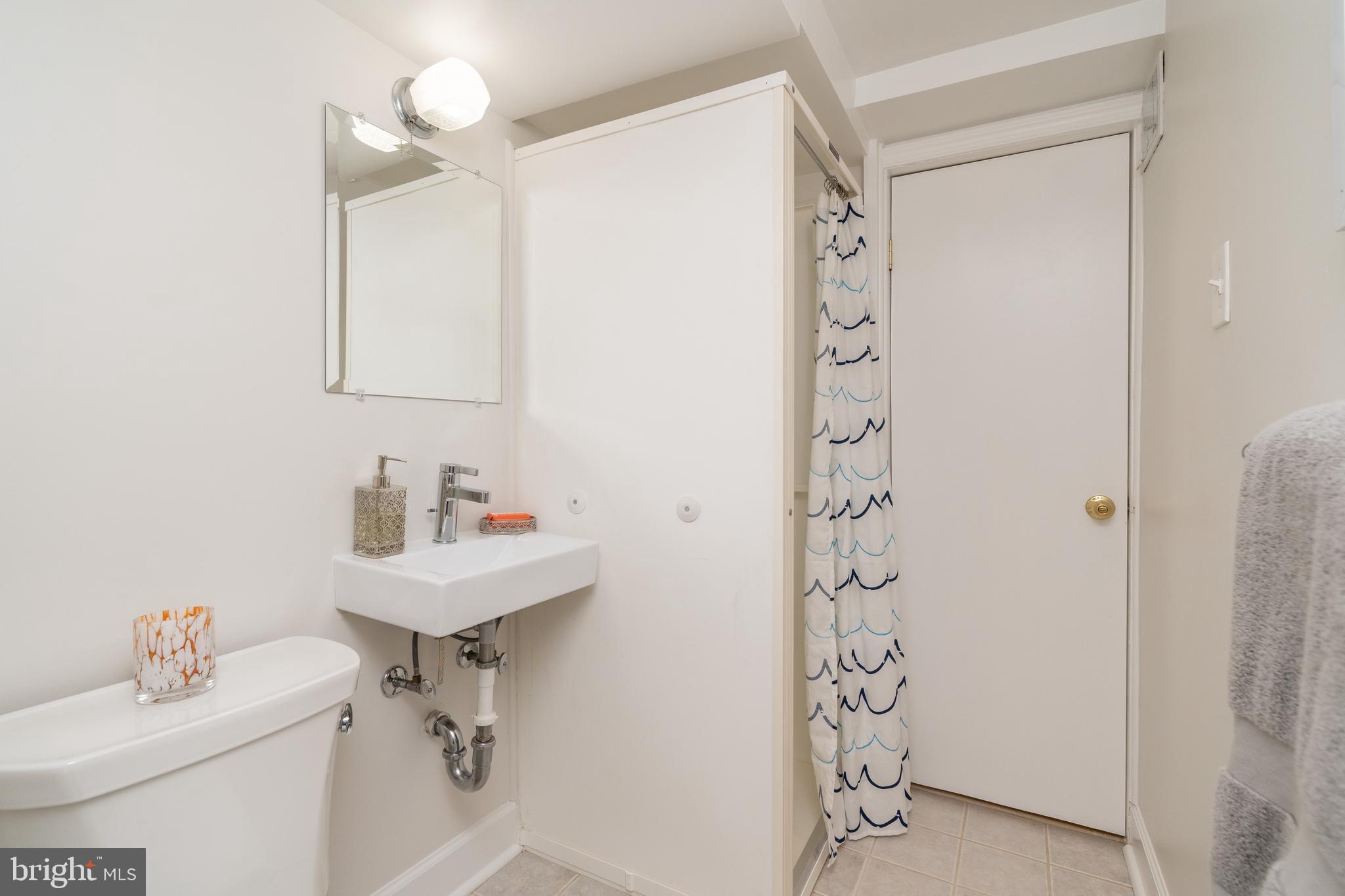 603 Russell Road Alexandria, VA 22301 - Photo 52 of 58 Lovel level bathroom