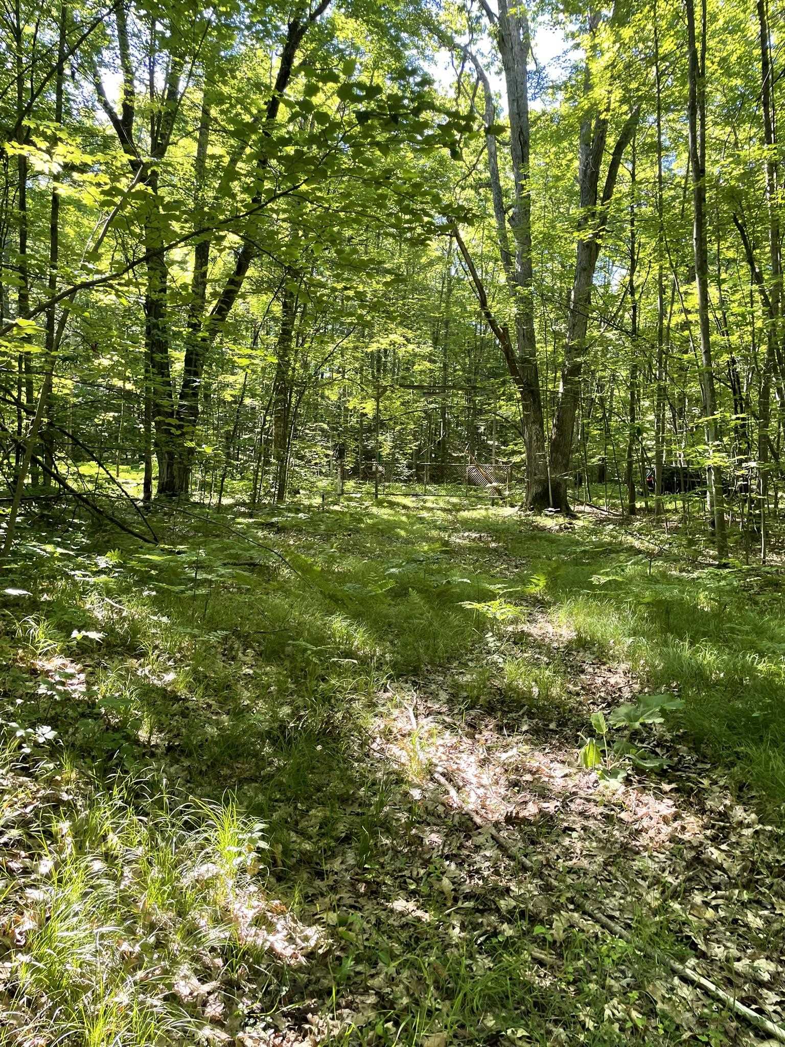 8895 East Grandview Trail Reed City, MI 49677 - Photo 7 of 18