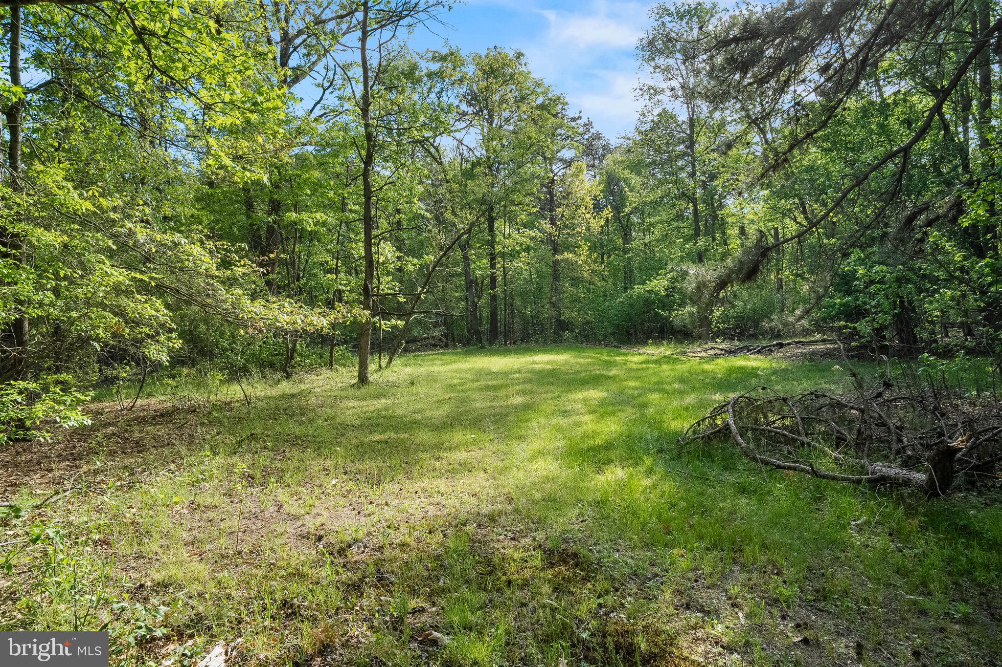 0 Angelow Road Berlin, NJ 08009 - Photo 15 of 18