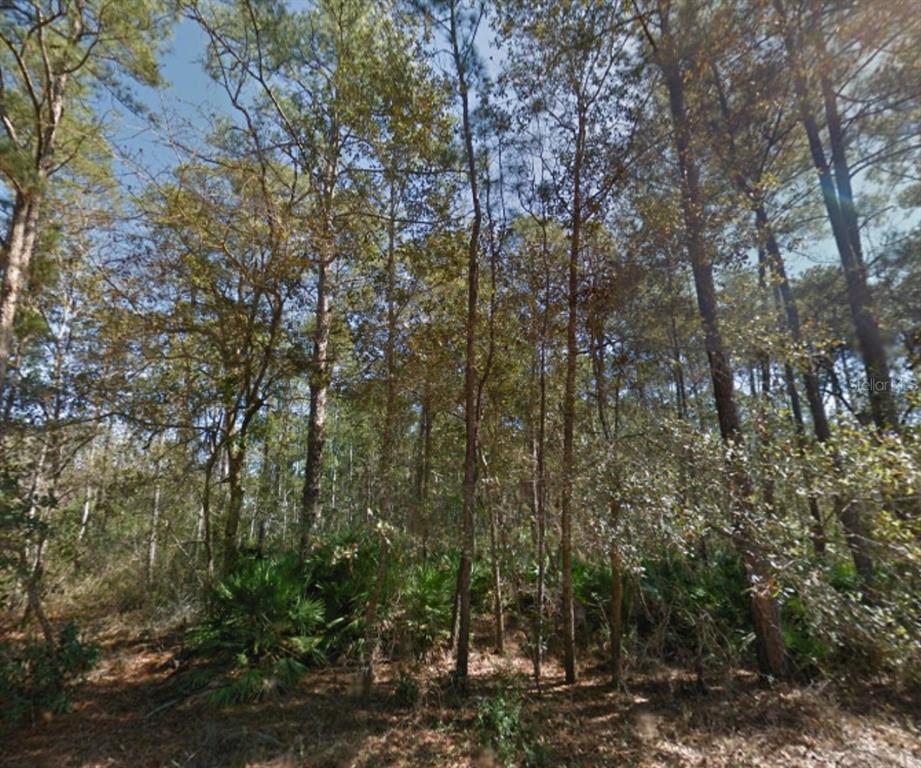 112 Stack Avenue Interlachen, FL 32148 - Photo 8 of 11