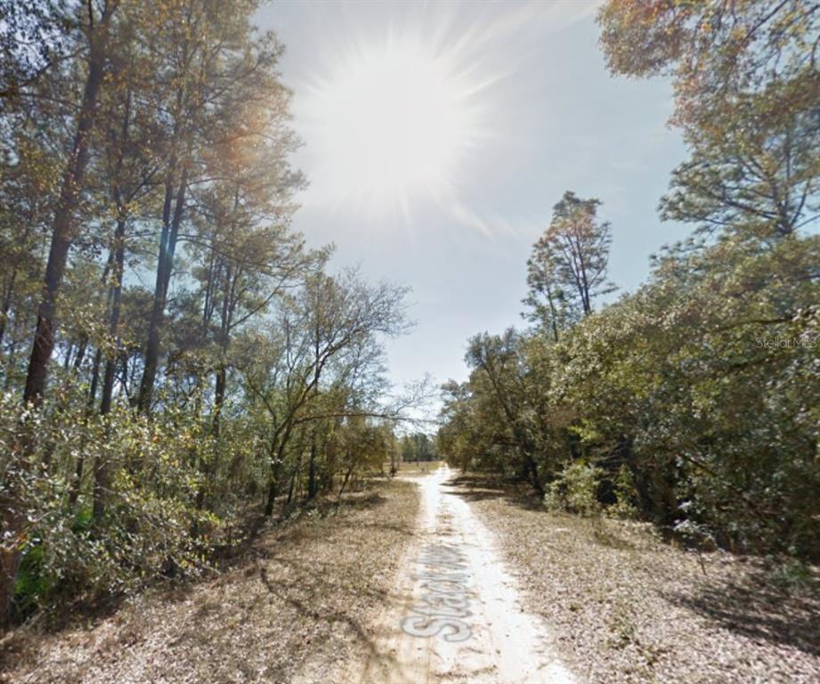 112 Stack Avenue Interlachen, FL 32148 - Photo 9 of 11