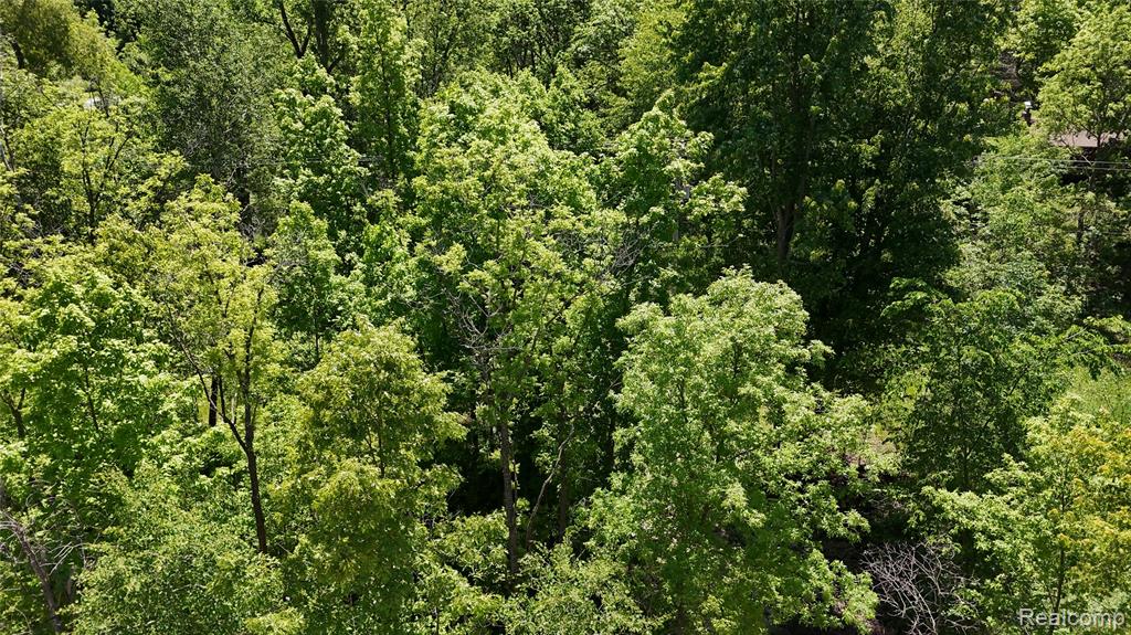 0 Williams Road Gaines, MI 48436 - Photo 15 of 28