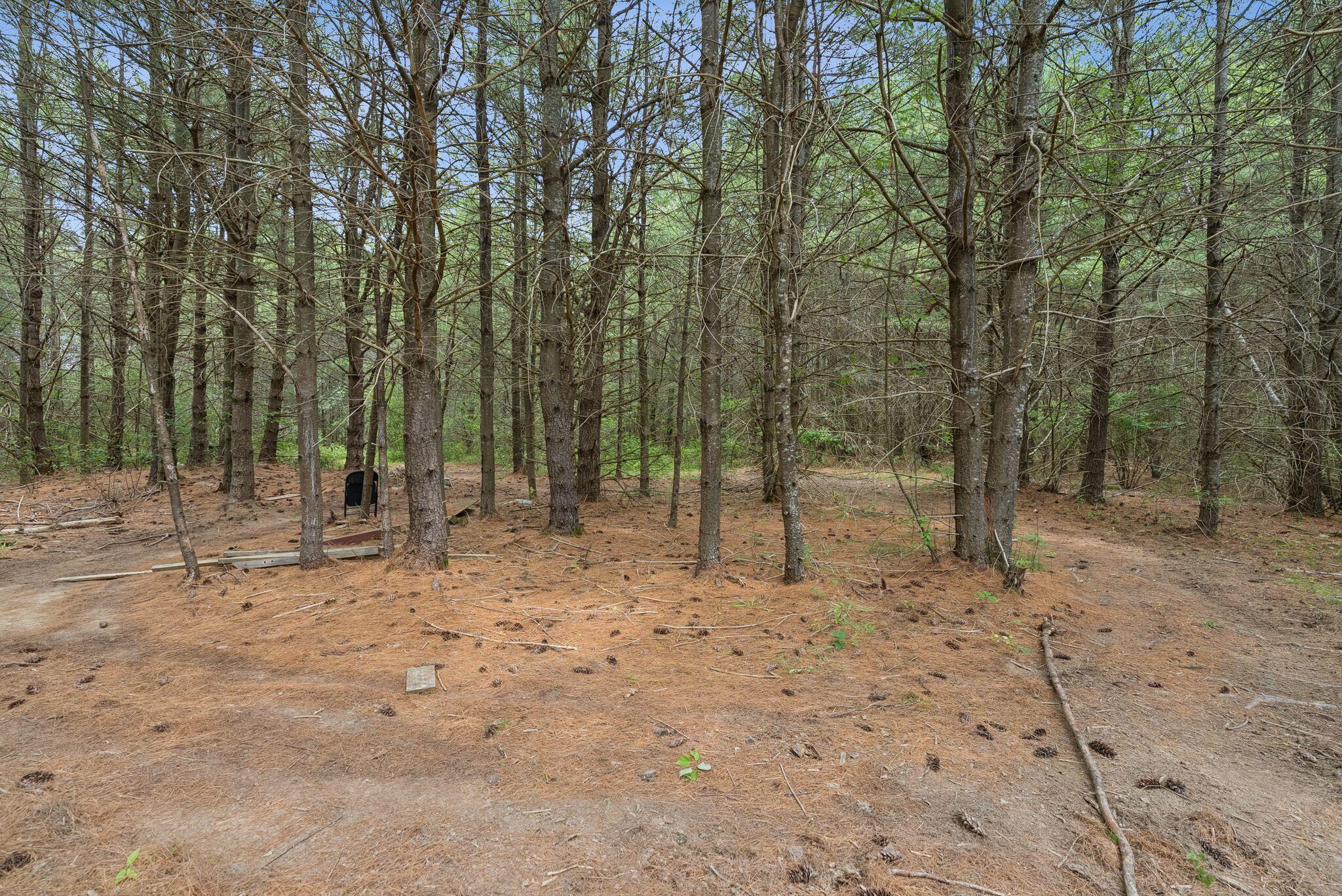 19 Straw Road Gorham, ME 04038 - Photo 60 of 67 mls_DSC08309
