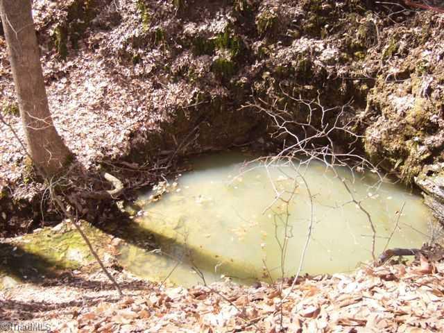 390 Chilton Road Ruffin, NC 27326 - Photo 13 of 16 Other. Swimming hole ready!