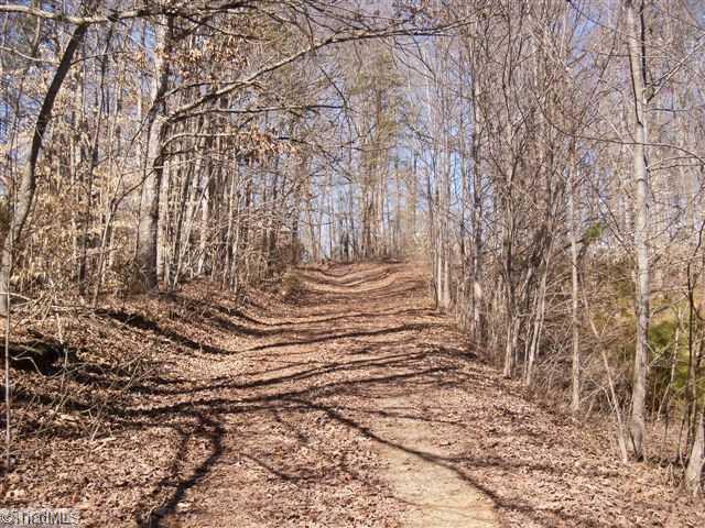 390 Chilton Road Ruffin, NC 27326 - Photo 14 of 16 Other. let this road lead you to your new home!!