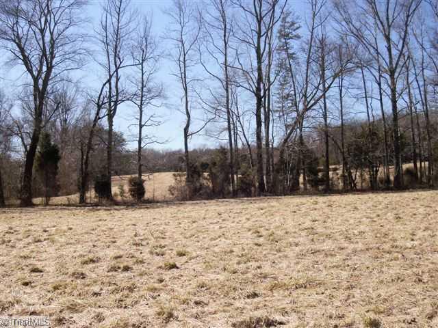 390 Chilton Road Ruffin, NC 27326 - Photo 15 of 16 Other. open meadows ready for horses