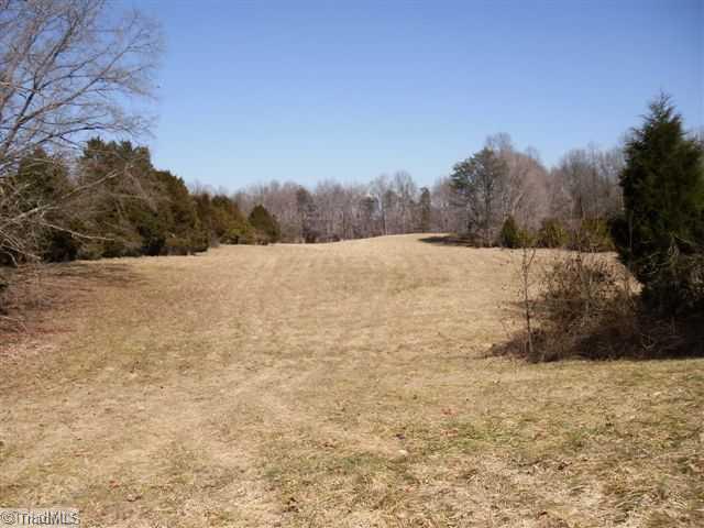 390 Chilton Road Ruffin, NC 27326 - Photo 6 of 16 Other. approximately half in woods and half open