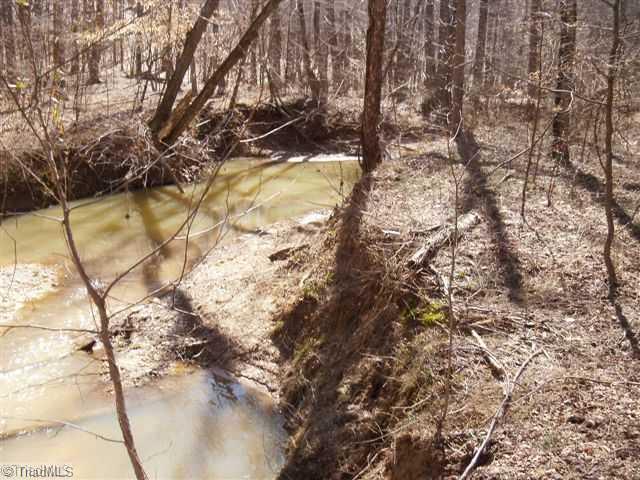 390 Chilton Road Ruffin, NC 27326 - Photo 8 of 16 Other. beautiful spring fed creek area with swimming holes!