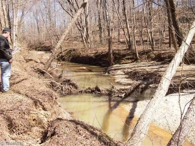 390 Chilton Road Ruffin, NC 27326 - Photo 9 of 16 Other. Creek