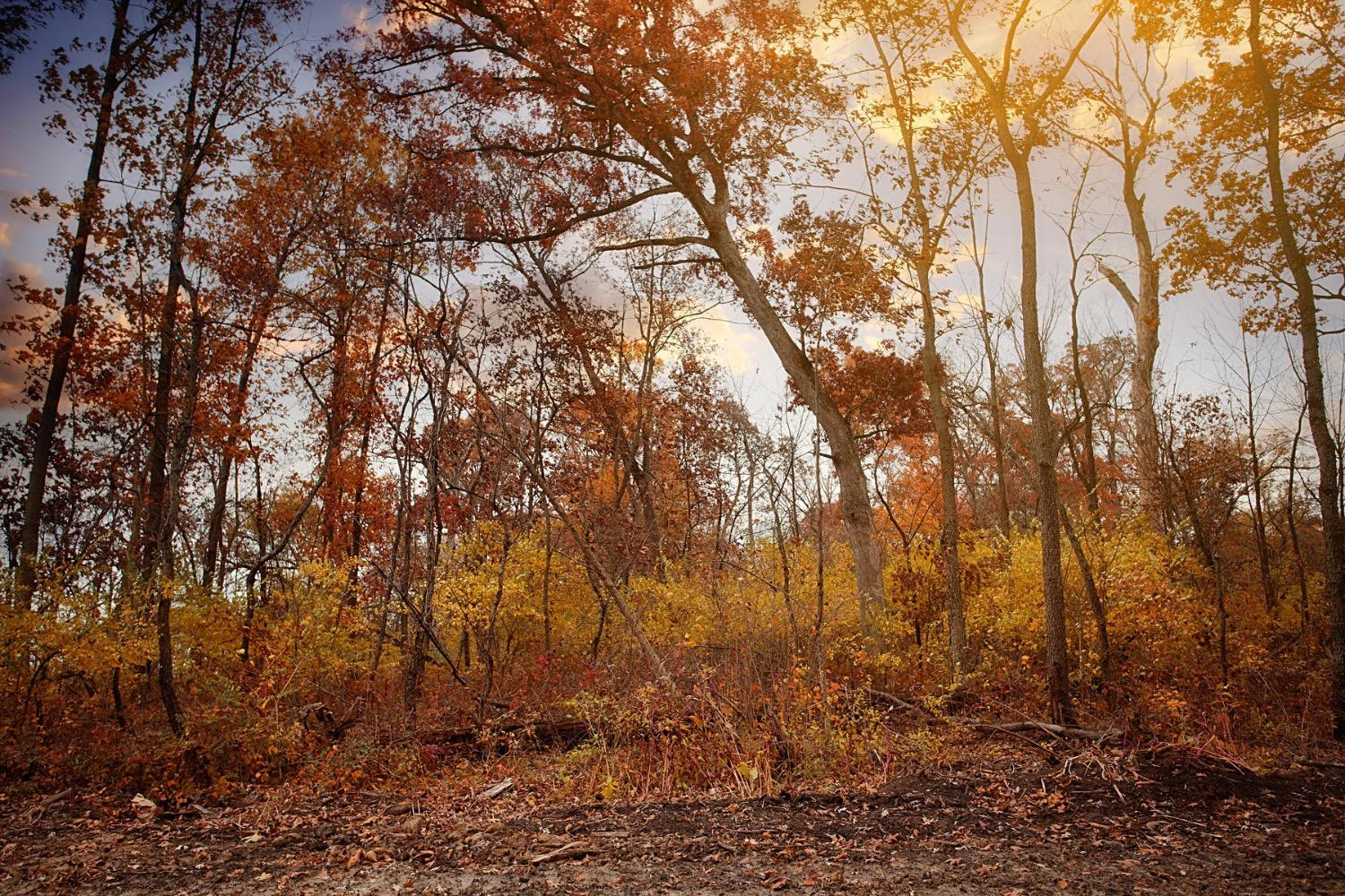 79 Noble Street Lowell, IN 46356 - Photo 4 of 6 1500x1000