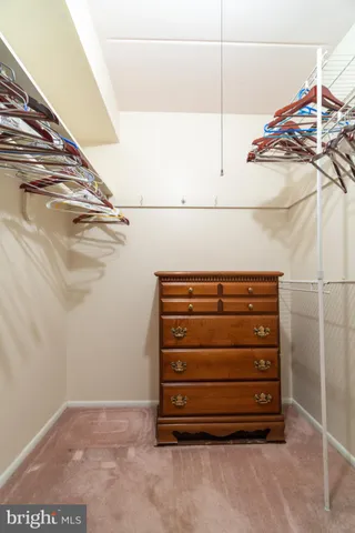 a view of walk in closet