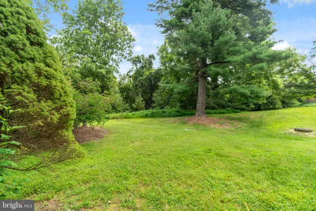 a view of an outdoor space and yard